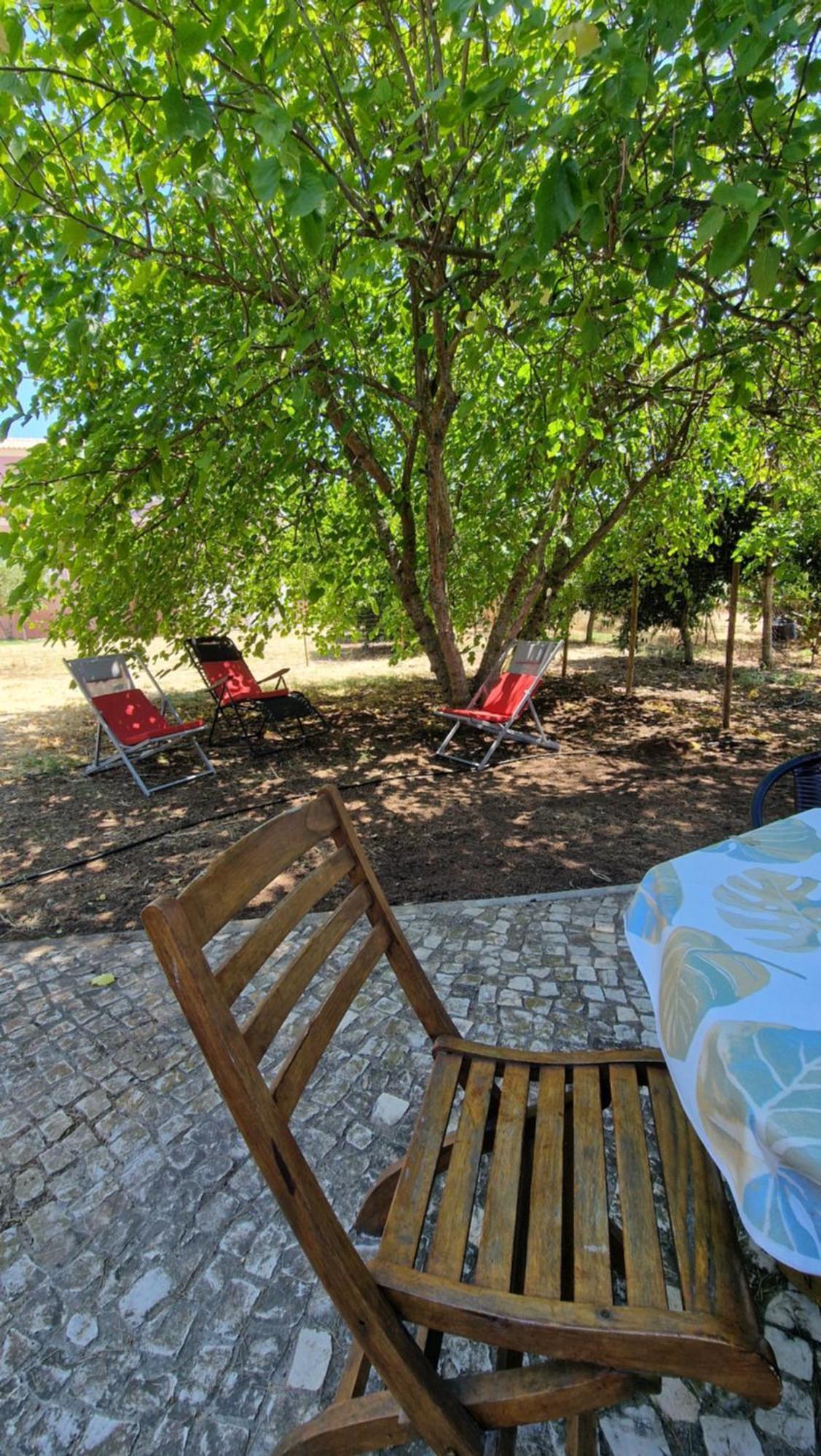 Chalet Villa Mosquito Silves Luaran gambar
