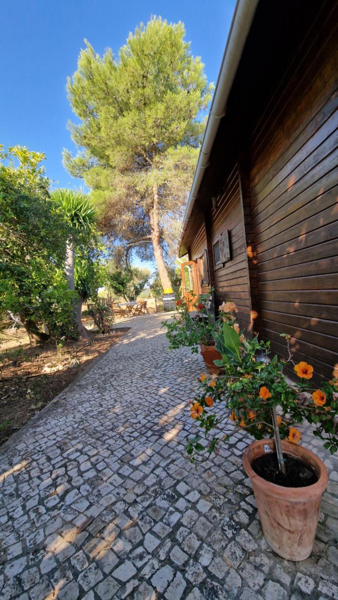 Chalet Villa Mosquito Silves Luaran gambar