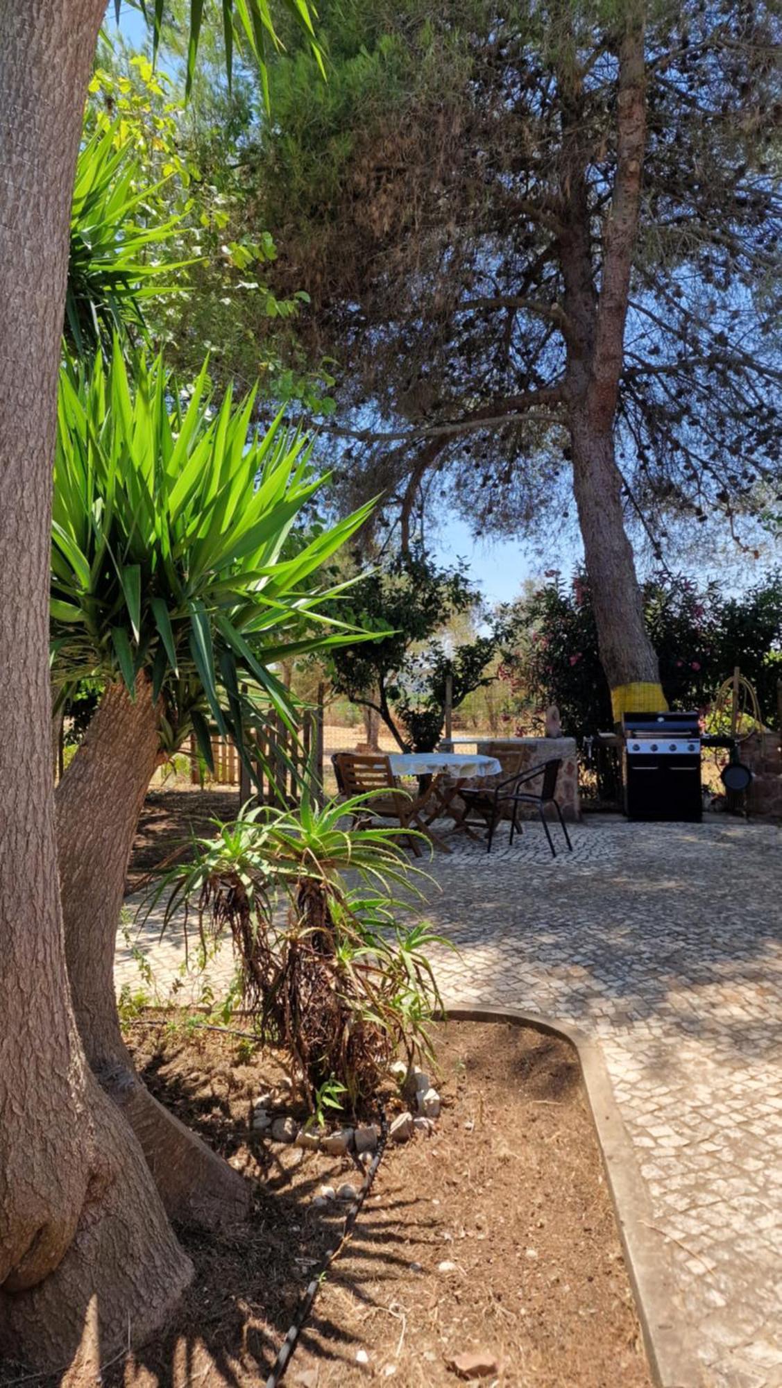 Chalet Villa Mosquito Silves Luaran gambar