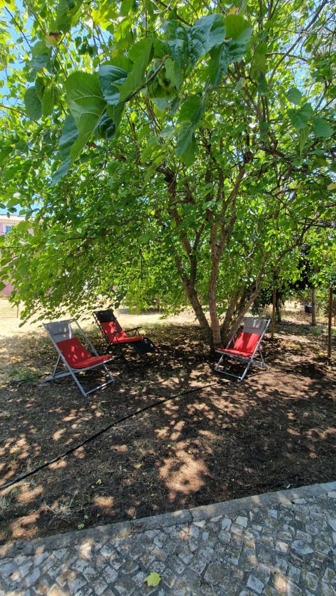 Chalet Villa Mosquito Silves Luaran gambar