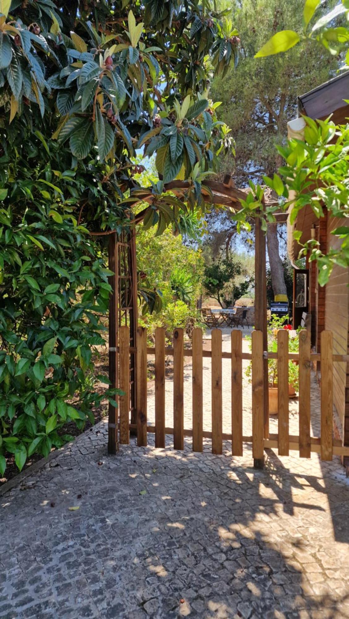 Chalet Villa Mosquito Silves Luaran gambar